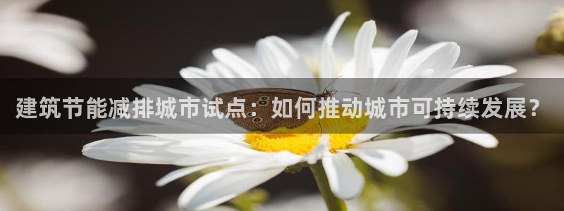 e尊国际官网
