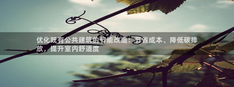 e尊国际是个黑网：优化既有公共建筑的节能改造：节省成本、降低碳排
放，提升室内舒适度