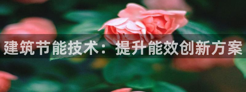 e尊国际官网app：建筑节能技术：提升能效创新方案