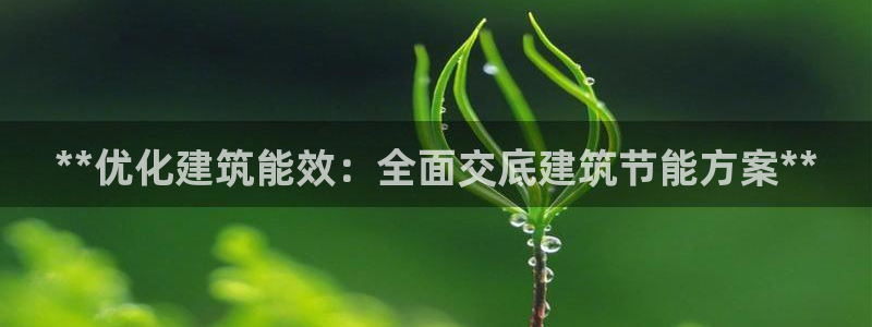 e尊国际是个黑网：**优化建筑能效：全面交底建筑节能方案**
